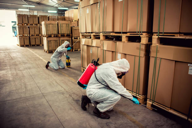 Best Pest Removal Services  in Eleanor, WV