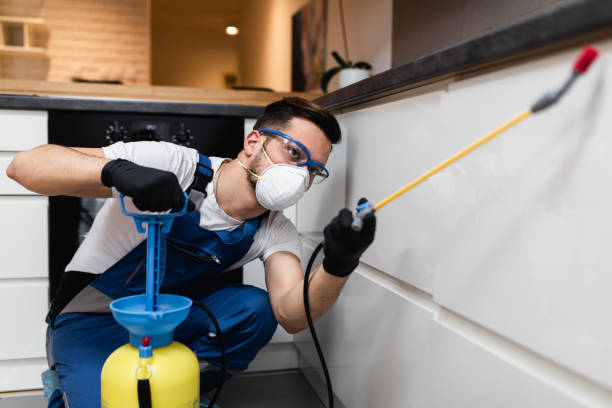 Best Flea Control Services  in Eleanor, WV