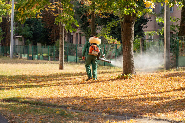 Best Insect Control  in Eleanor, WV