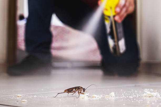 Best Pest Prevention Services  in Eleanor, WV