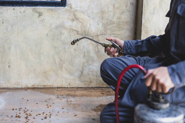 Best Local Pest Control Services  in Eleanor, WV